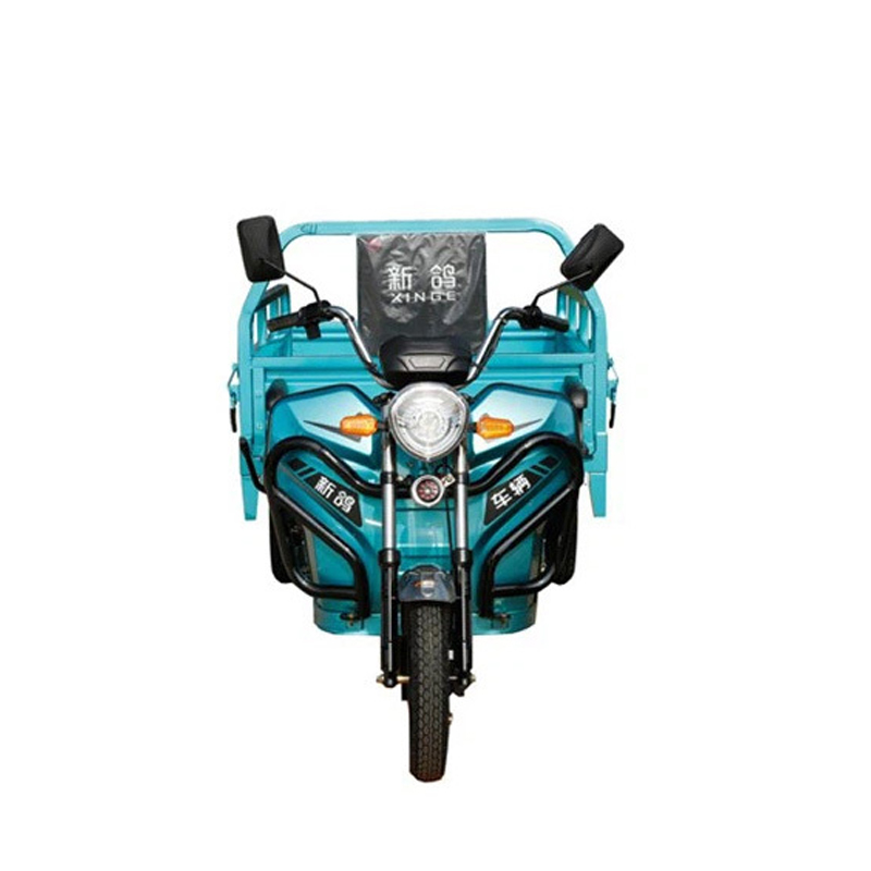 Motocicletă electrică economică de 800W