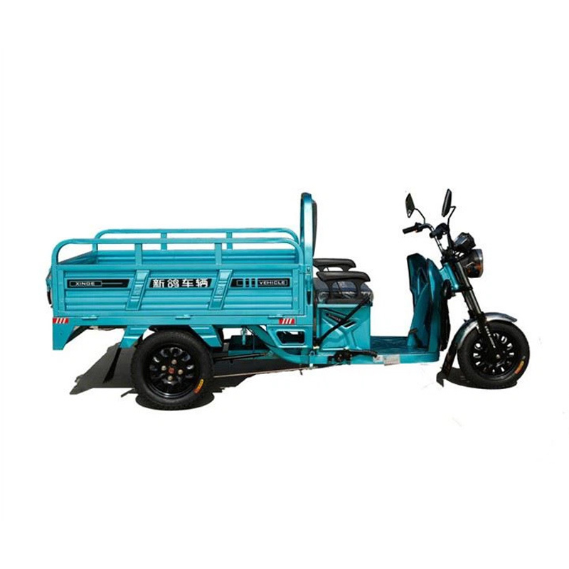 Motocicletă electrică economică de 800W