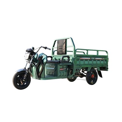 Bicicletă electrică Cargo