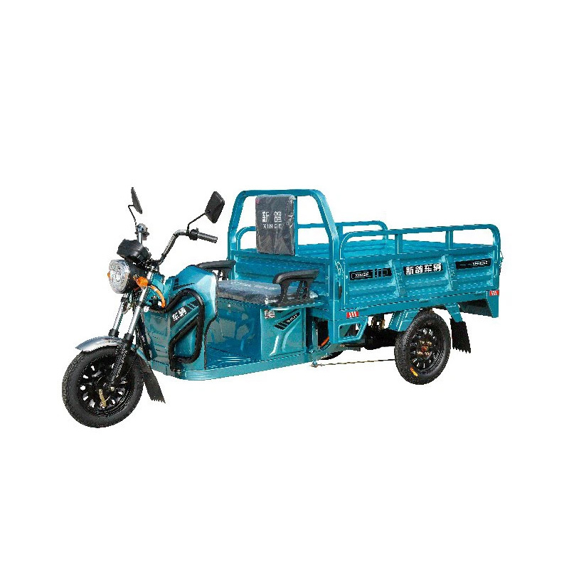 Motocicletă electrică economică de 800W