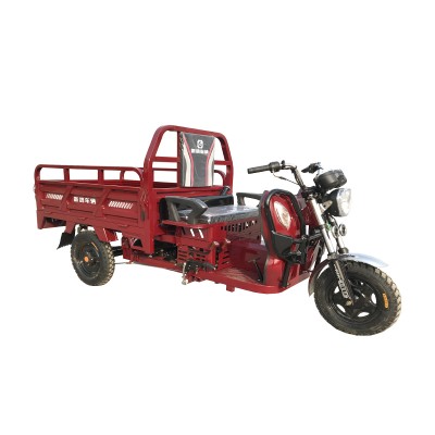X3 benzină Cargo Tricycle 300kgs