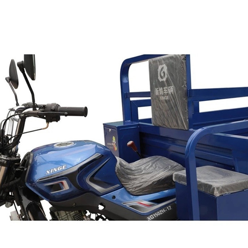 200CC Cargo de combustibil puternic 3 roți