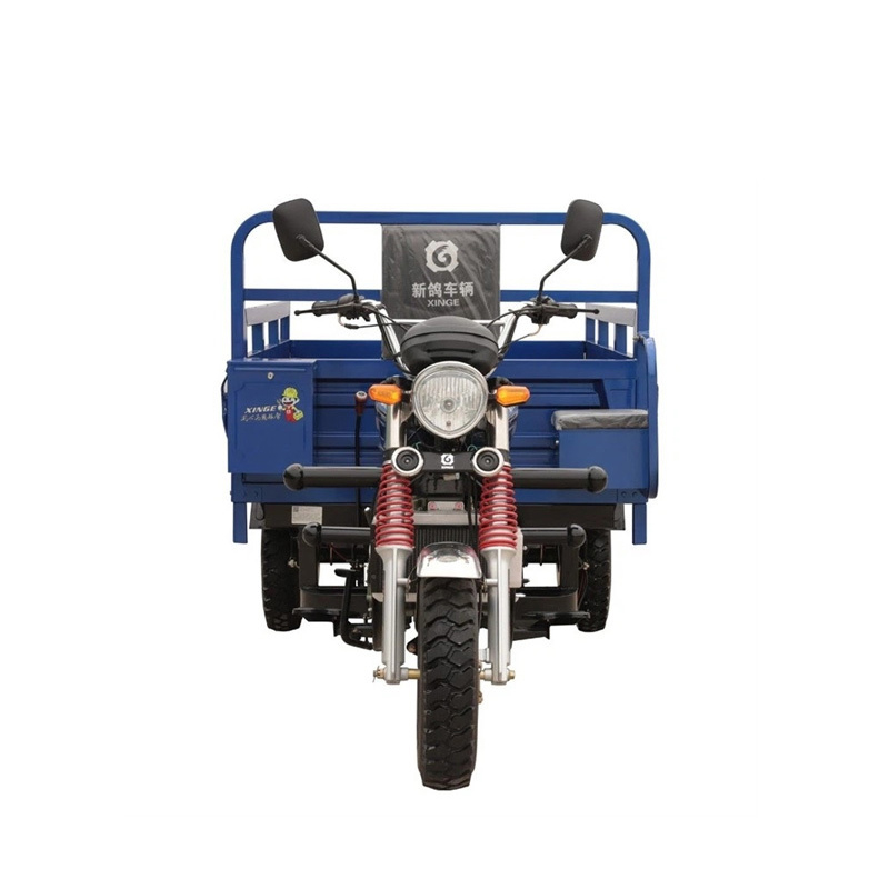 200CC Cargo de combustibil puternic 3 roți