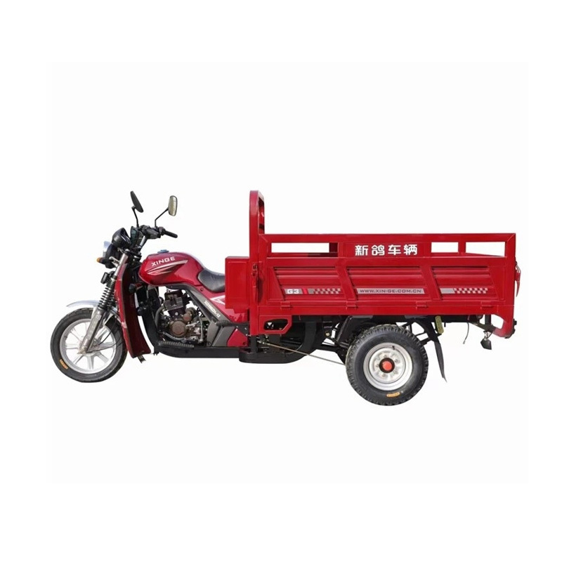 Bicicletă cu încărcătură grea pe benzină 200CC