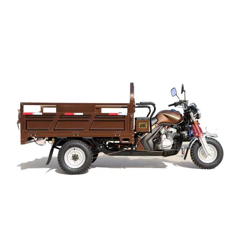 150cc Motocicletă cu trei roți de benzină