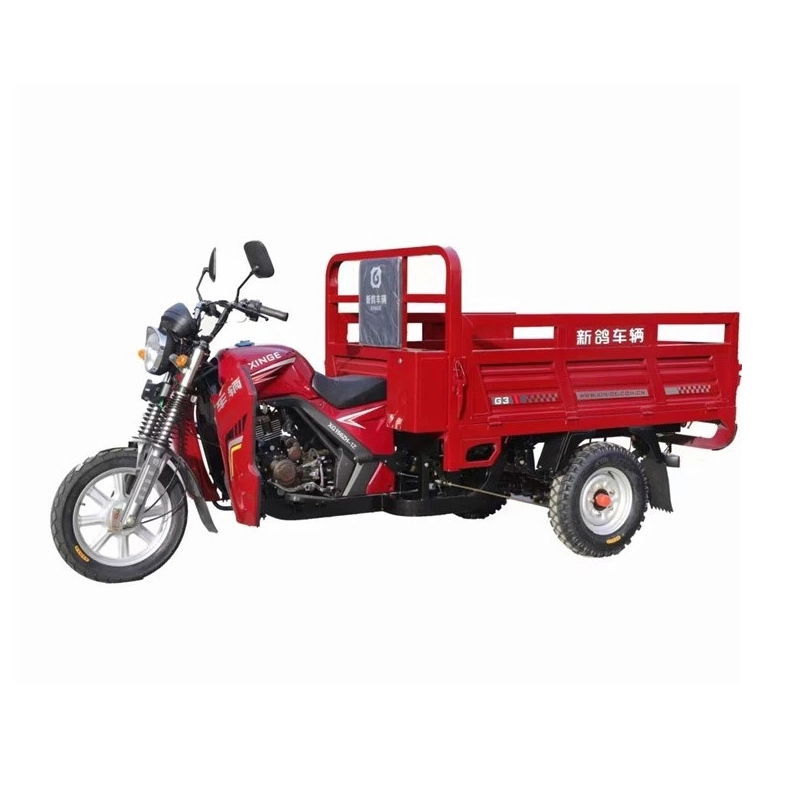 Bicicletă cu încărcătură grea pe benzină 200CC