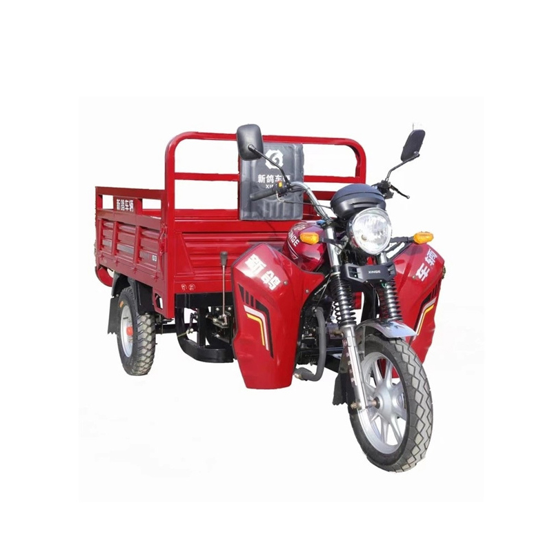 Bicicletă cu încărcătură grea pe benzină 200CC
