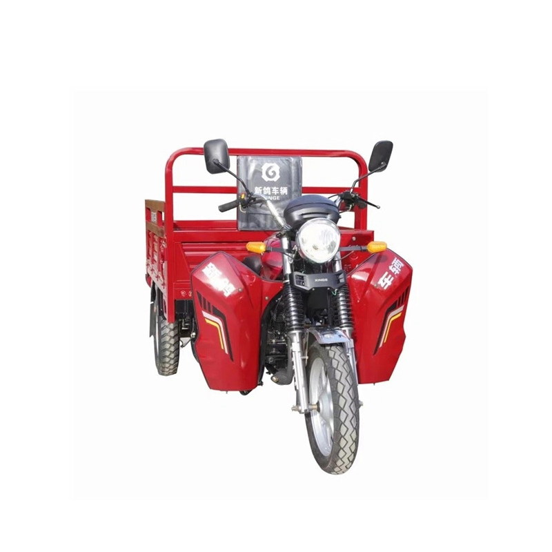 Bicicletă cu încărcătură grea pe benzină 200CC